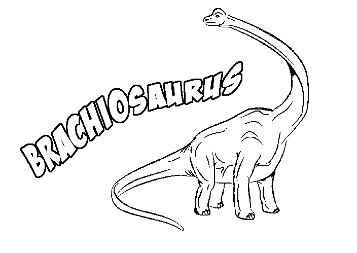 704x499 Brachiosaurus Amp Coloring Book