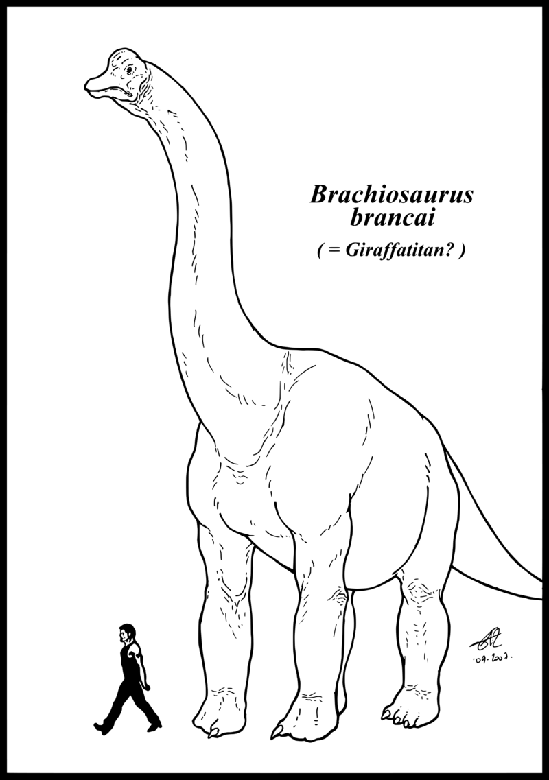800x1137 Brachiosaurus Brancai By Zakafreakarama