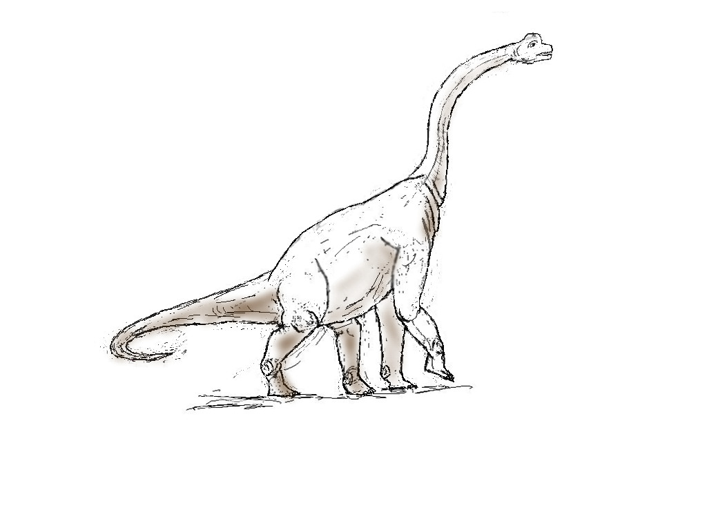 1024x768 Brachiosaurus By Generalfol