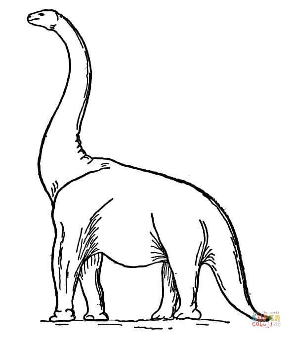589x685 Brachiosaurus Coloring Pages Free Coloring Pages