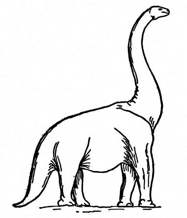 600x698 How To Draw A Brachiosaurus Coloring Page Color Luna