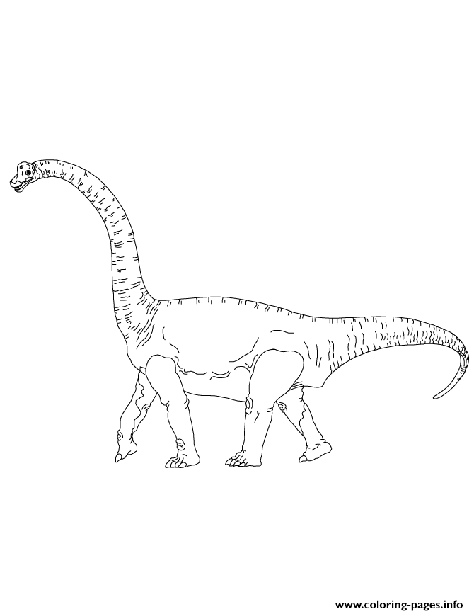 670x867 Brachiosaurus 1 Dinosaur Coloring Pages Printable
