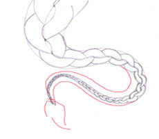 230x200 How To Draw A Braid I Draw Fashion