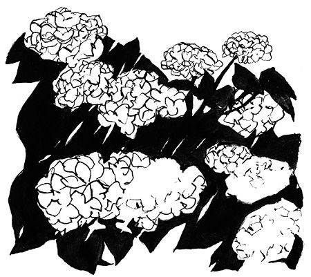 450x401 9 Best Pen Drawing For The Novel3 Images On Ink Pen