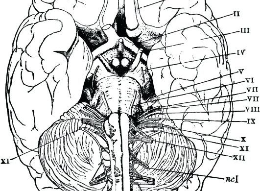 531x390 Cute Coloring For Kids Drawing