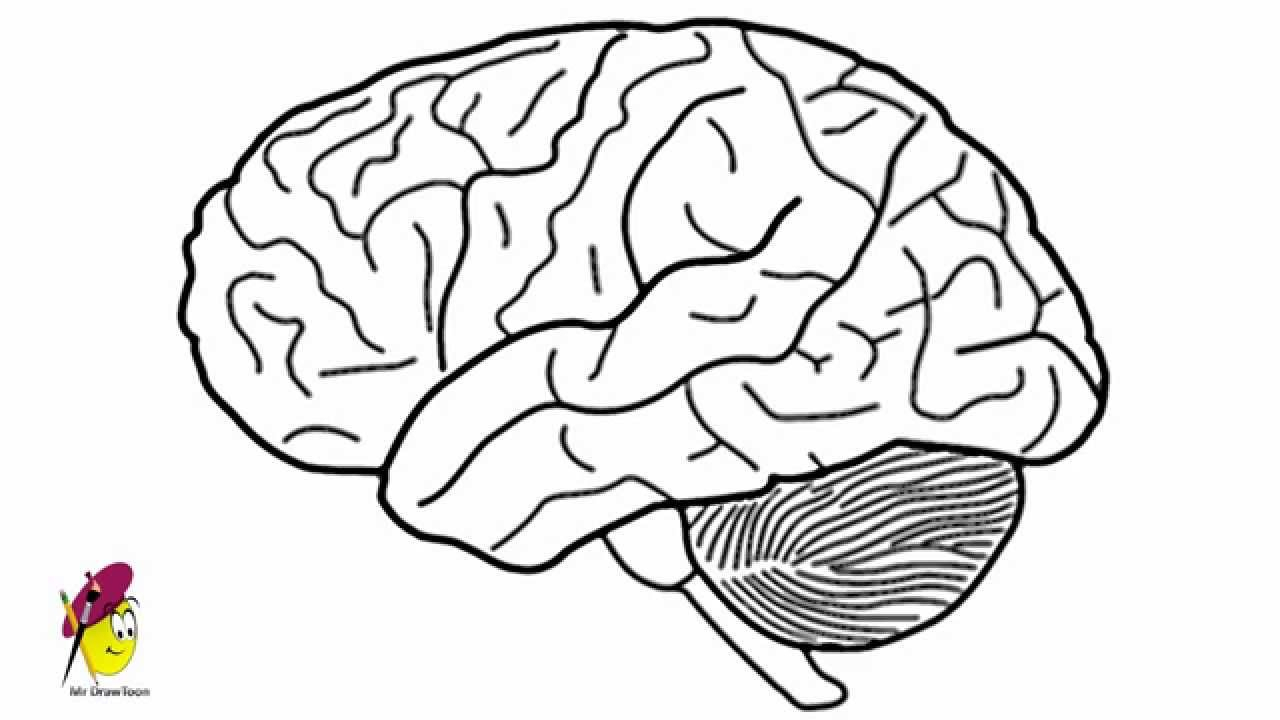 1280x720 Brain Cartoon Drawing How To Draw A Brain