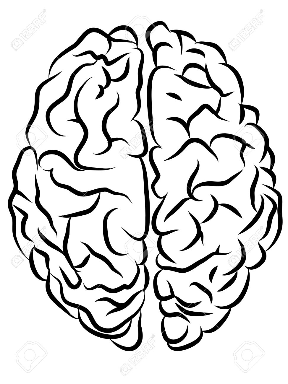 974x1300 Vector Black And White Brain Contours, Cartoon Style Royalty Free