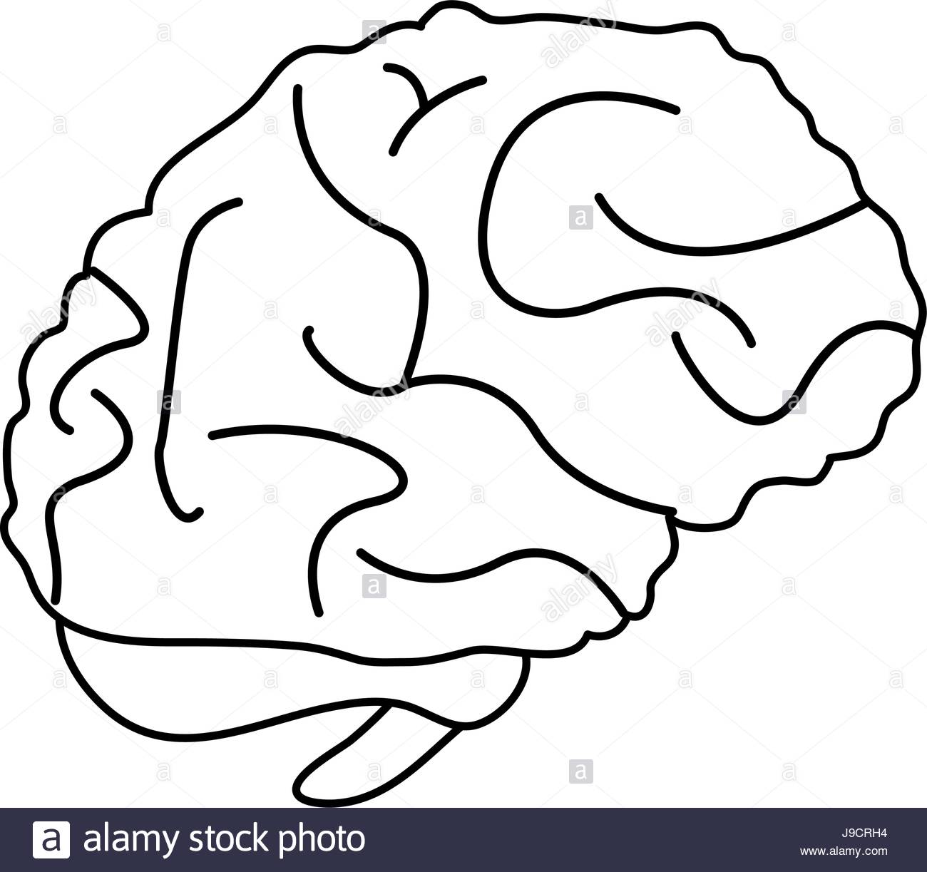 1300x1223 Brain Cartoon Silhouette Illustration Draw Stock Vector Art