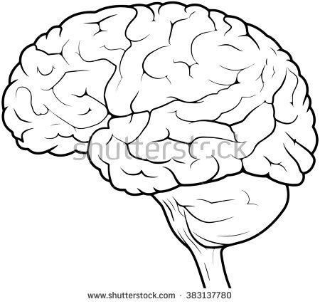 450x427 Side View Line Drawing Human Brain Stock Illustration 383137780
