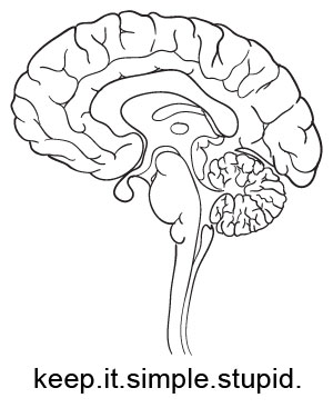 300x367 Brain Chris Fraser On Line