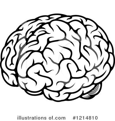 400x420 Brain Clipart Line Drawing