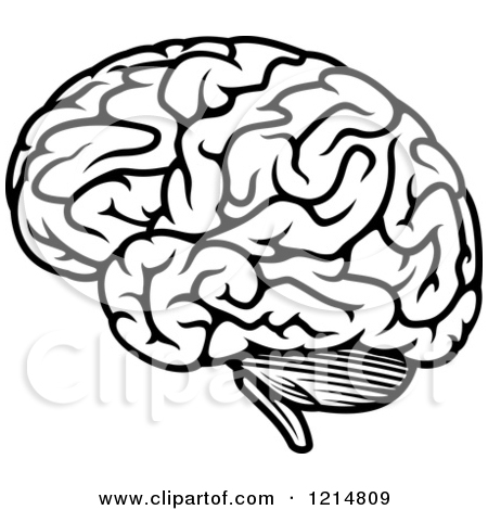 450x470 Brain Drawing Easy Step By Step