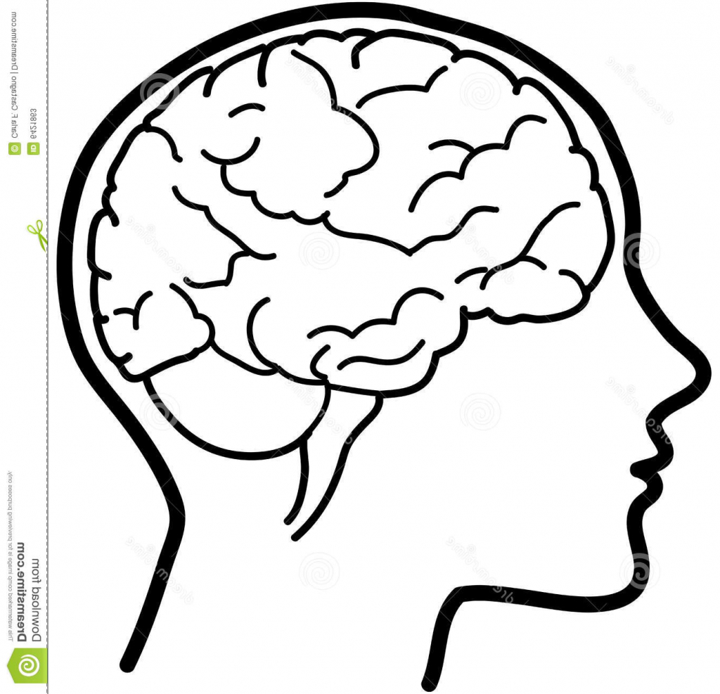 1024x987 Brain Drawing Simple Simple Brain Drawing Index Of Images16