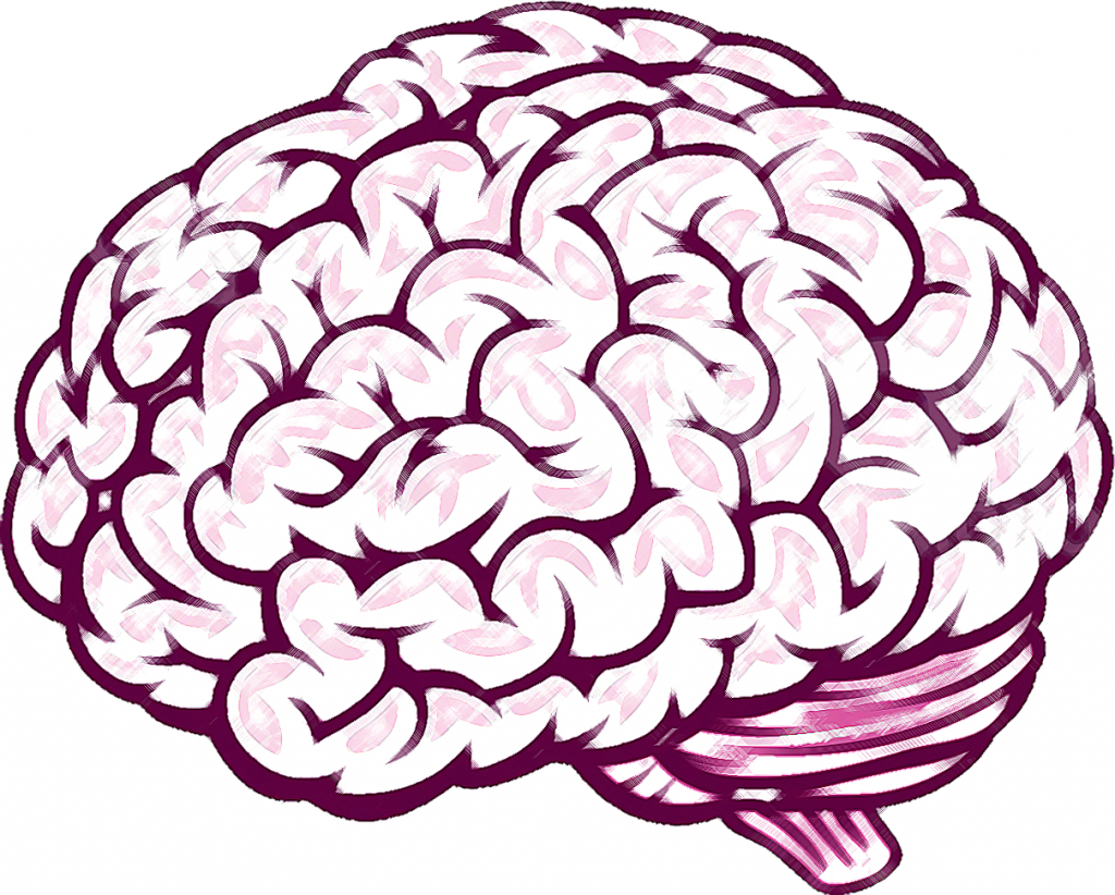 1024x822 Sketch Of Brain Inderecami Drawing