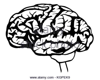 400x320 Sketch Human Brain In Vintage Style, Vector Stock Vector Art
