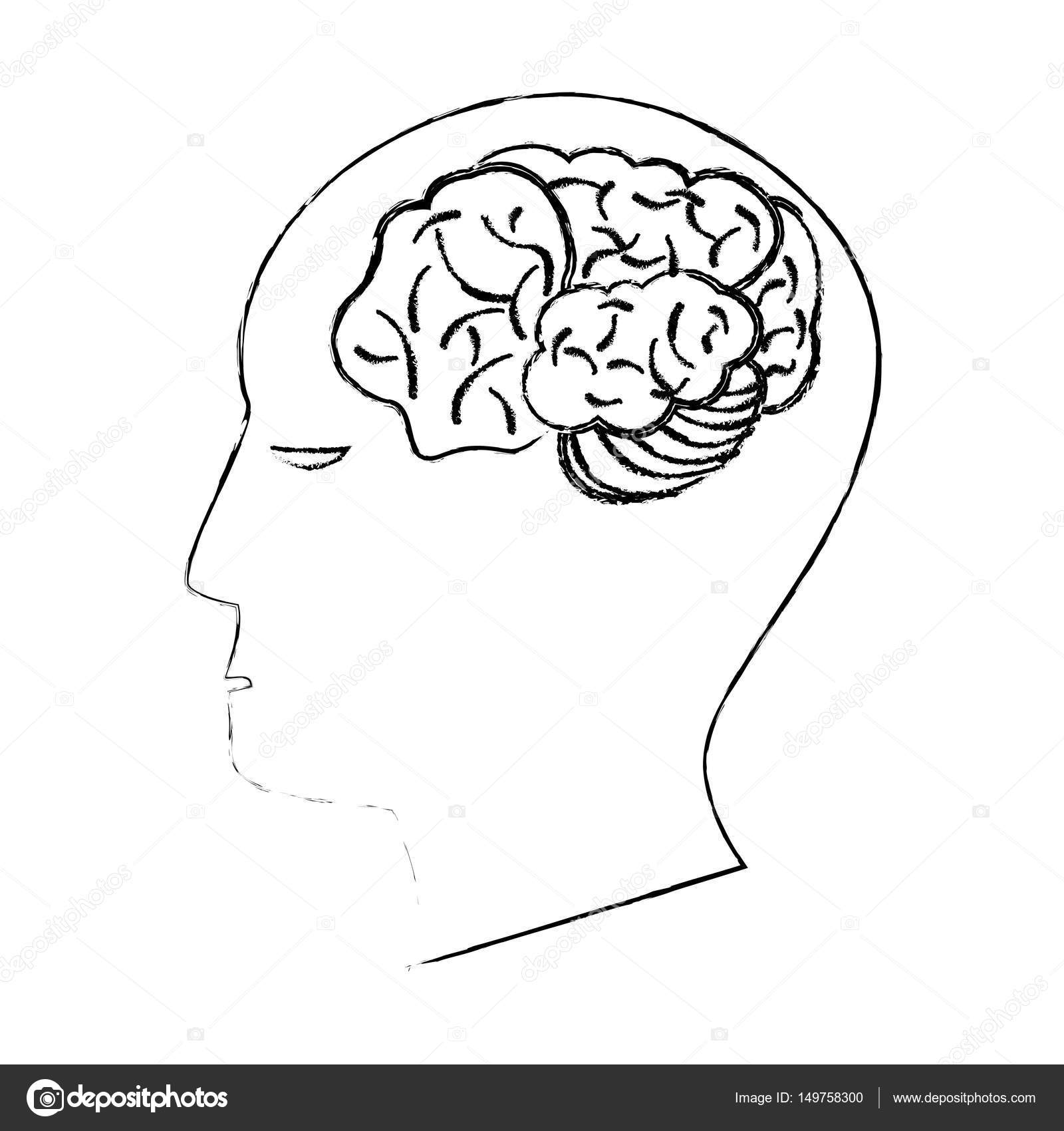 1600x1700 Head Human Brain Creativity Sketch Stock Vector Jemastock
