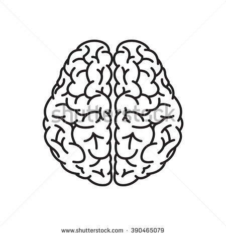 450x470 Drawn Brain Outline