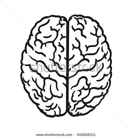450x470 Drawn Brain Simple
