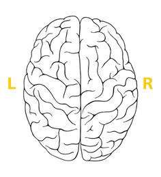236x259 Gallery Left Brain Drawing,
