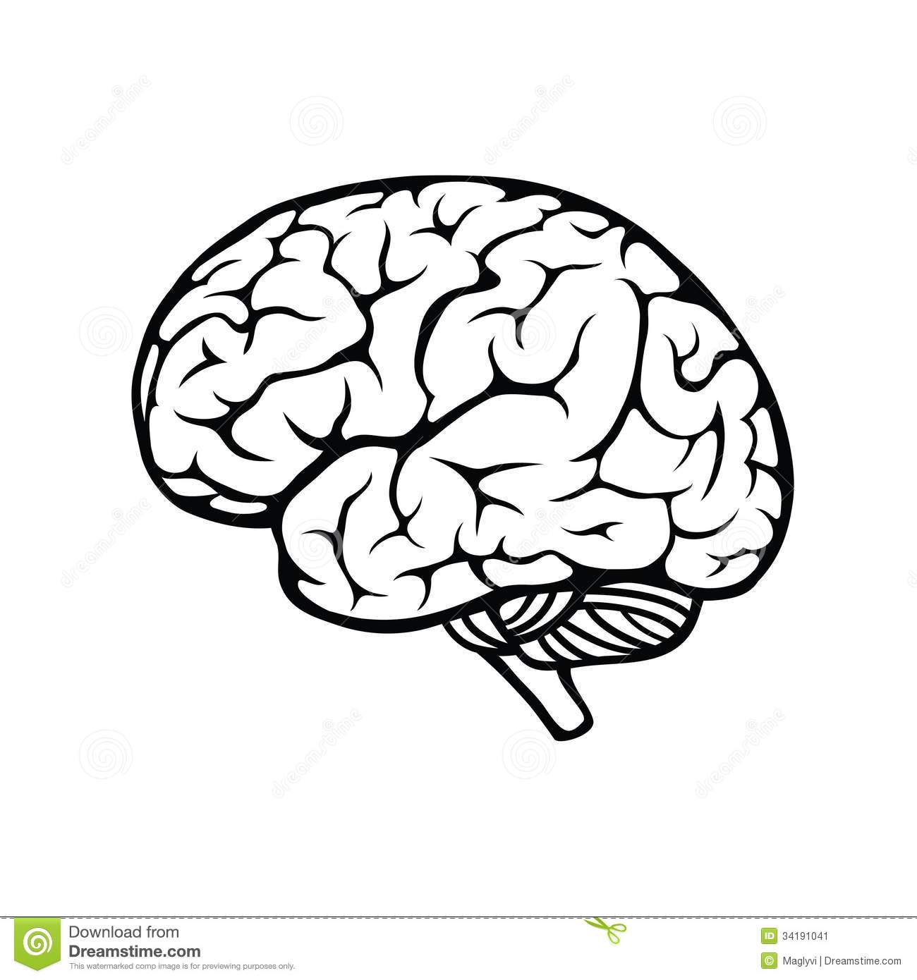 1300x1390 Human Brain Clipart Black And White