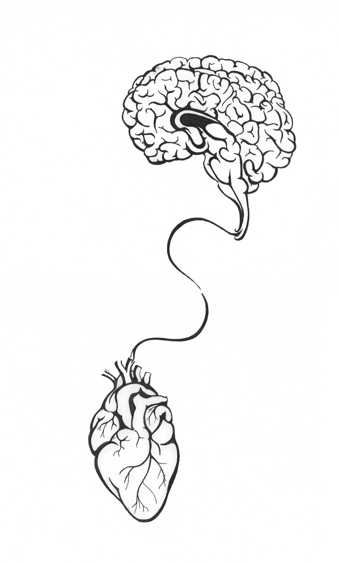 Brain Drawing Tumblr at GetDrawings | Free download