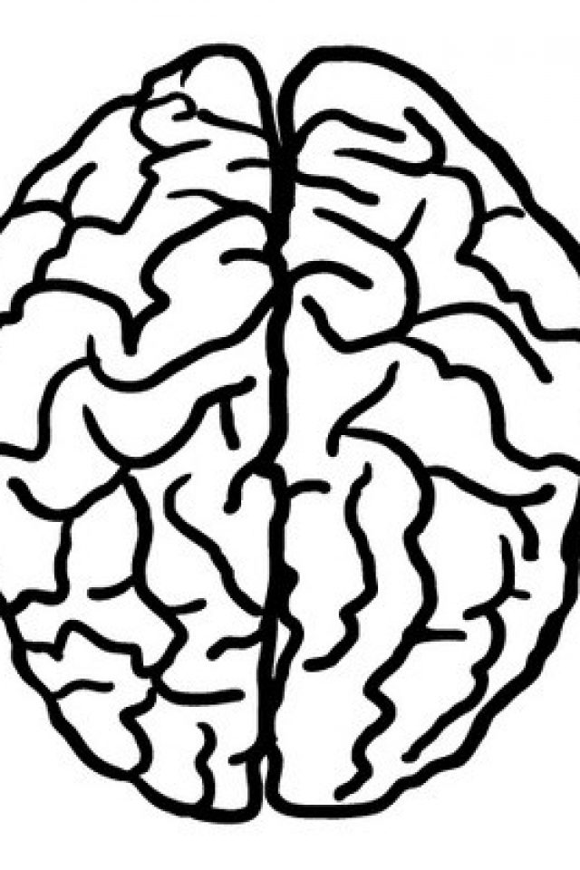 640x960 Draw Brain Coloring Page 17 Additional Line Drawings