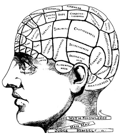 424x472 Whale Line Art Scientific