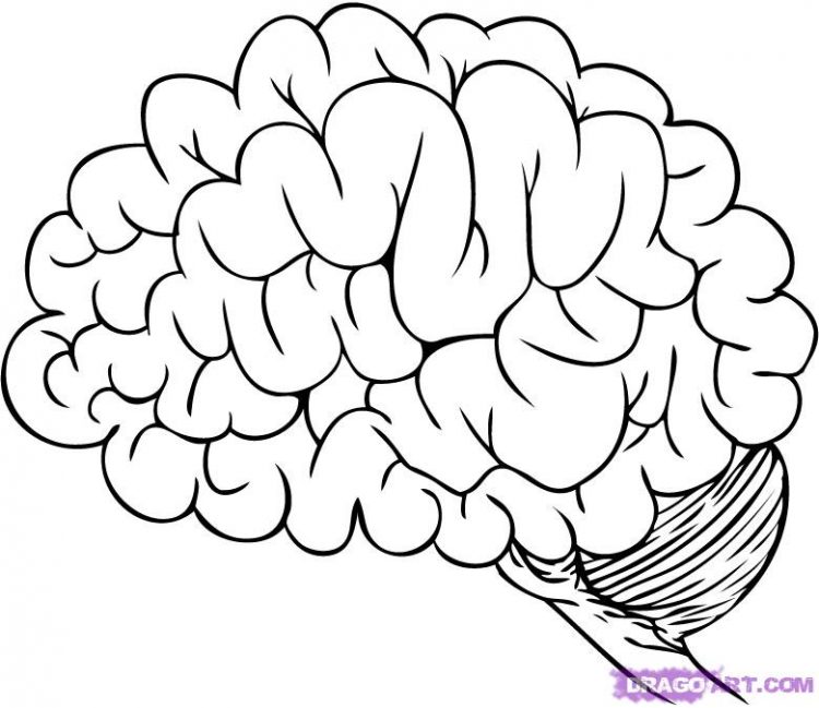 750x649 How To Draw A Cartoon Human Brain Tags How To Draw A Cartoon