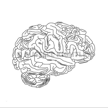 450x450 Russell Kightley Premium Scientific Pictures Brain Abstract