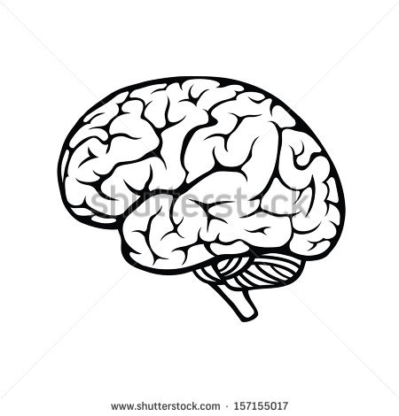 450x470 Clipart Brain Outline