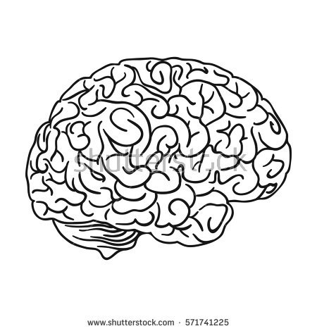 450x470 Drawn Brain Side View