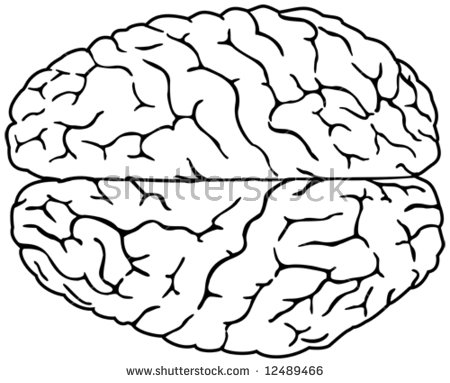 450x383 Drawn Brains Half