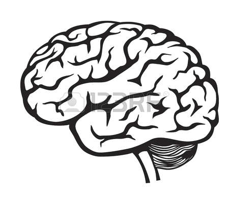 450x402 Brain Clipart Hand Drawn