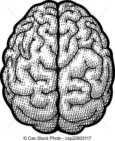 383x470 Brains Clipart Line Drawing