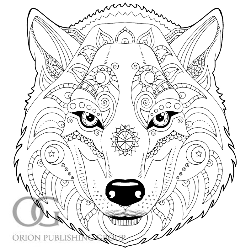 800x800 Anastasia Catris Draw Your Way To A Younger Brain Dogs