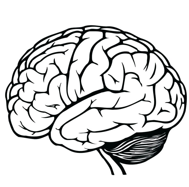 Brain Teaser Drawing at GetDrawings | Free download