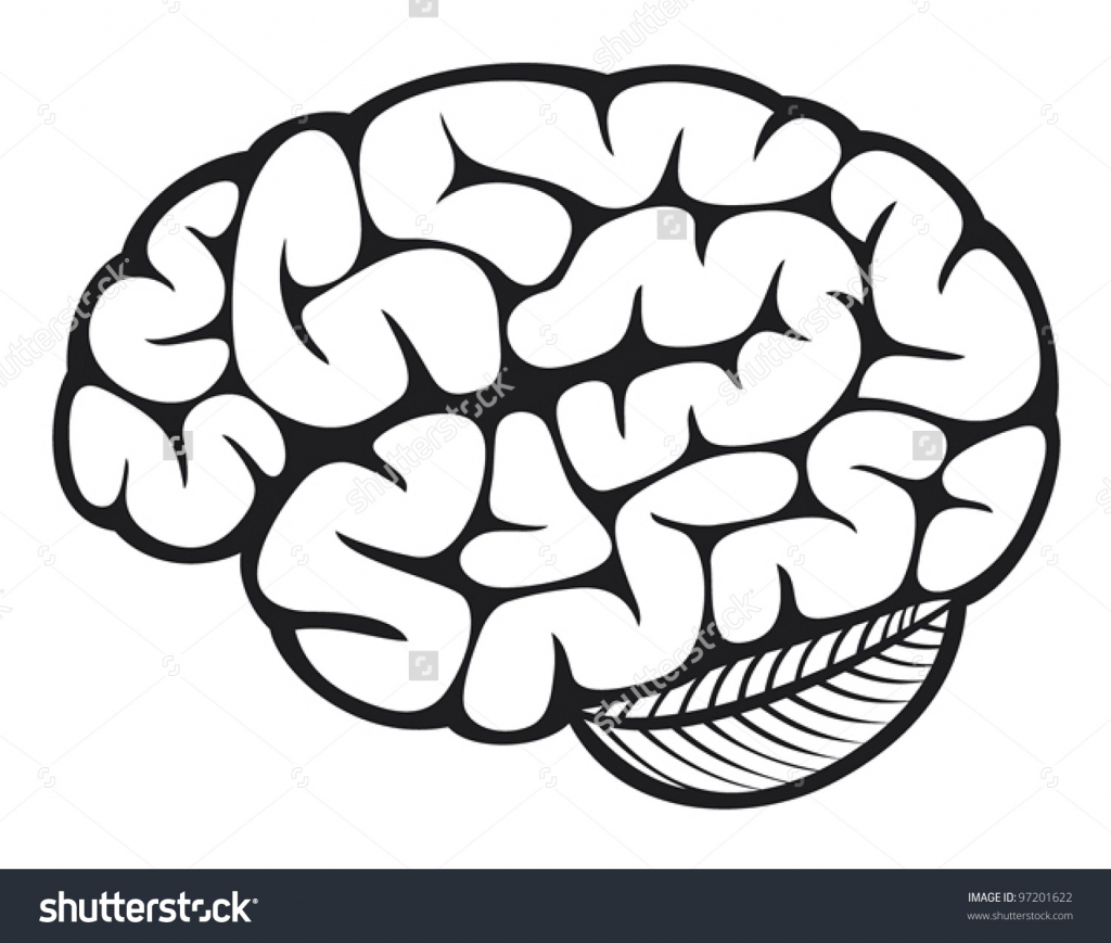 1024x869 Brains Clipart Simple