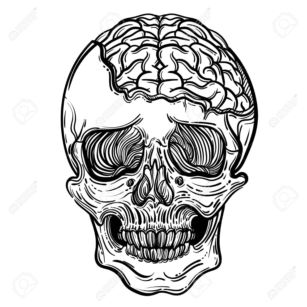 1300x1300 Vector Illustration With A Human Skull And Brains. Gothic Brutal