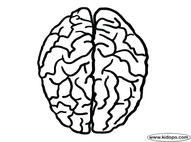 630x470 Brain Coloring Worksheet Pin Drawn Brains Coloring Page 1 Brain