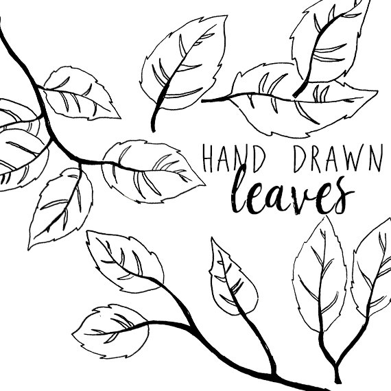 570x570 Ink Drawing Leaf Branch Clip Art For Scrapbooking Holiday Season