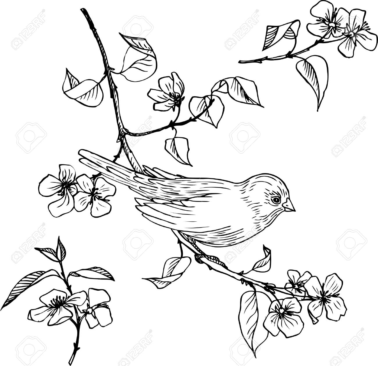 1300x1258 Linear Drawing Bird At Branch With Flowers And Leaves, Set