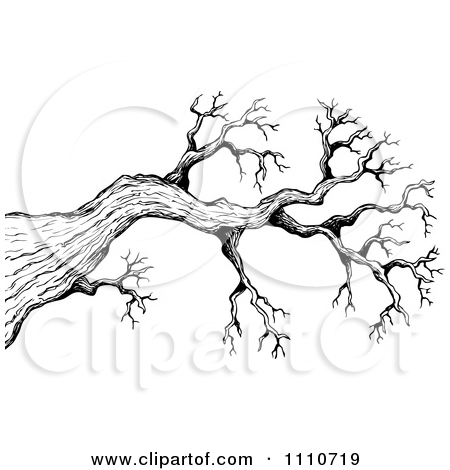 450x470 Cartoon Of A Background Of Black Bare Tree Branches