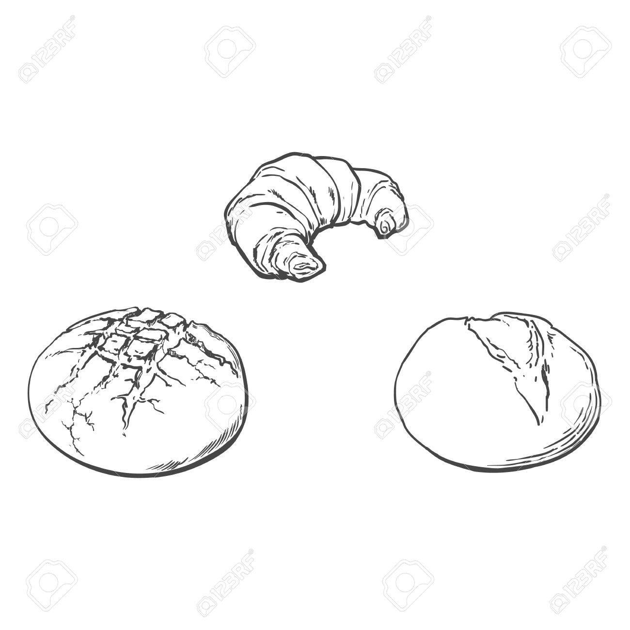 1300x1300 Vector Sketch Fresh White Loaf Bread, French Baguette Set