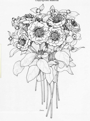 Bridal Bouquet Drawing