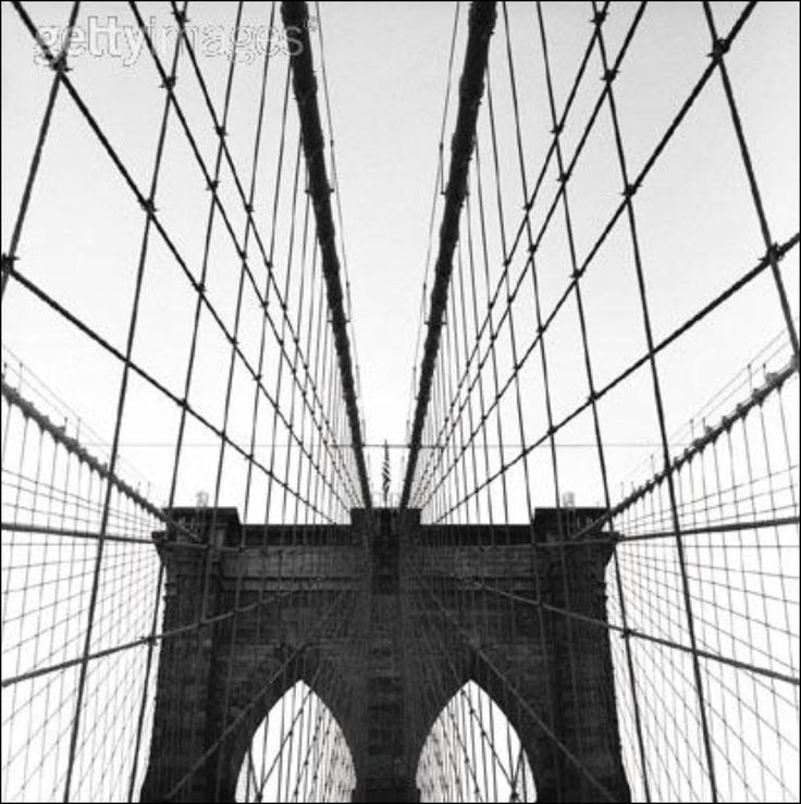 736x739 Composition In Photography. Weekly Obboy Photography