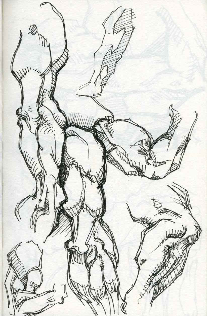 823x1255 Bridgman Anatomy Study