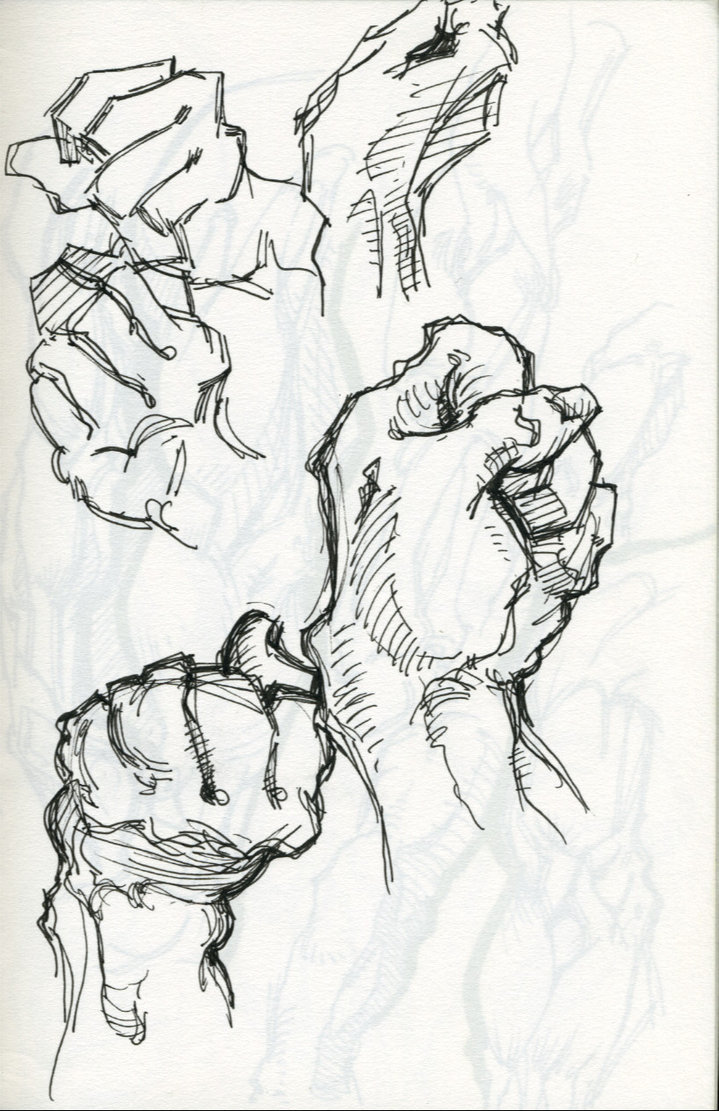 719x1111 Bridgman Anatomy Study