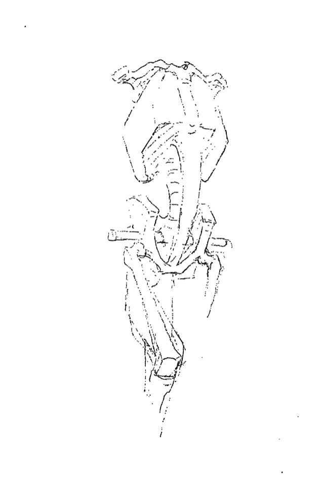 638x985 Bridgman The Human Machine