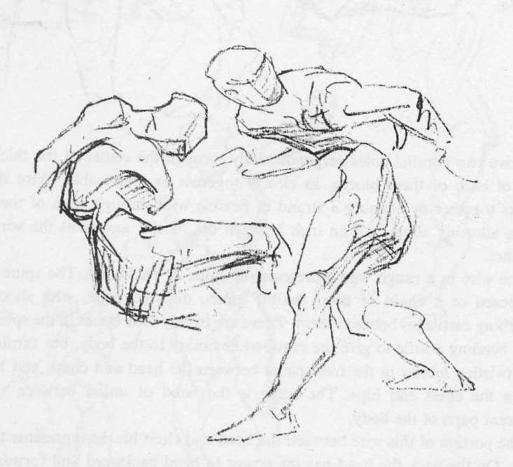 733x668 Uomo Con I Tatuaggi