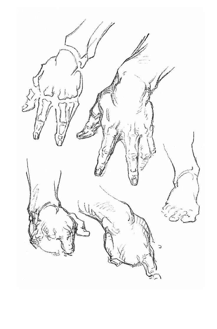 736x1118 91 Best Artist ~ George Bridgman Images On Art